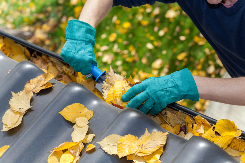 Cleaning gutters from leaves