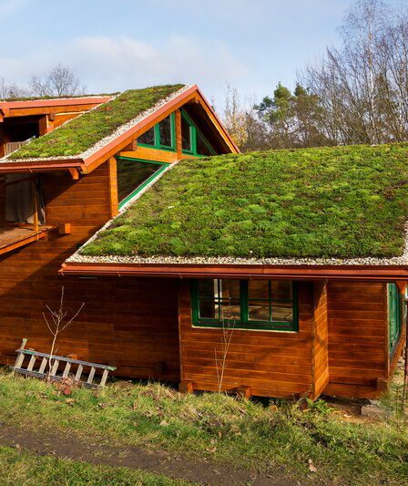 voordelen van een groen dak